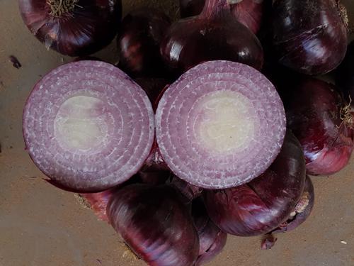 Public product photo - To ensure that you get the best quality and the best price, you have to deal with Alshams company.
We are  alshams an import and export company that offer all kinds of agriculture crops.
We offer you  fresh onion 
Quality :First Class Onion
Best Regards
Merna Hesham
Cell(whats-app) 00201093042965                                                                  